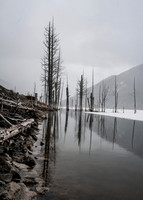 winter scene