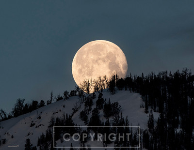 full moon